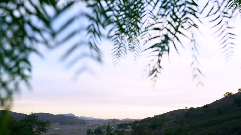 Old Grappler Summit Recap Video