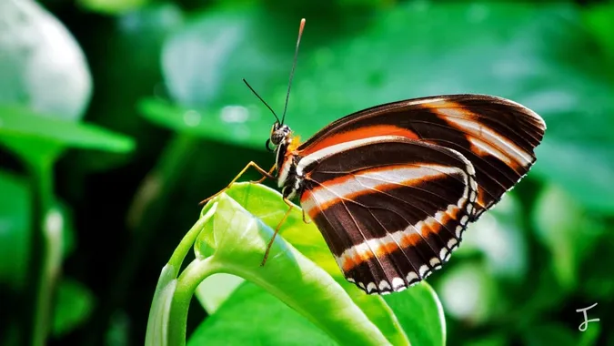 Photography portfolio image