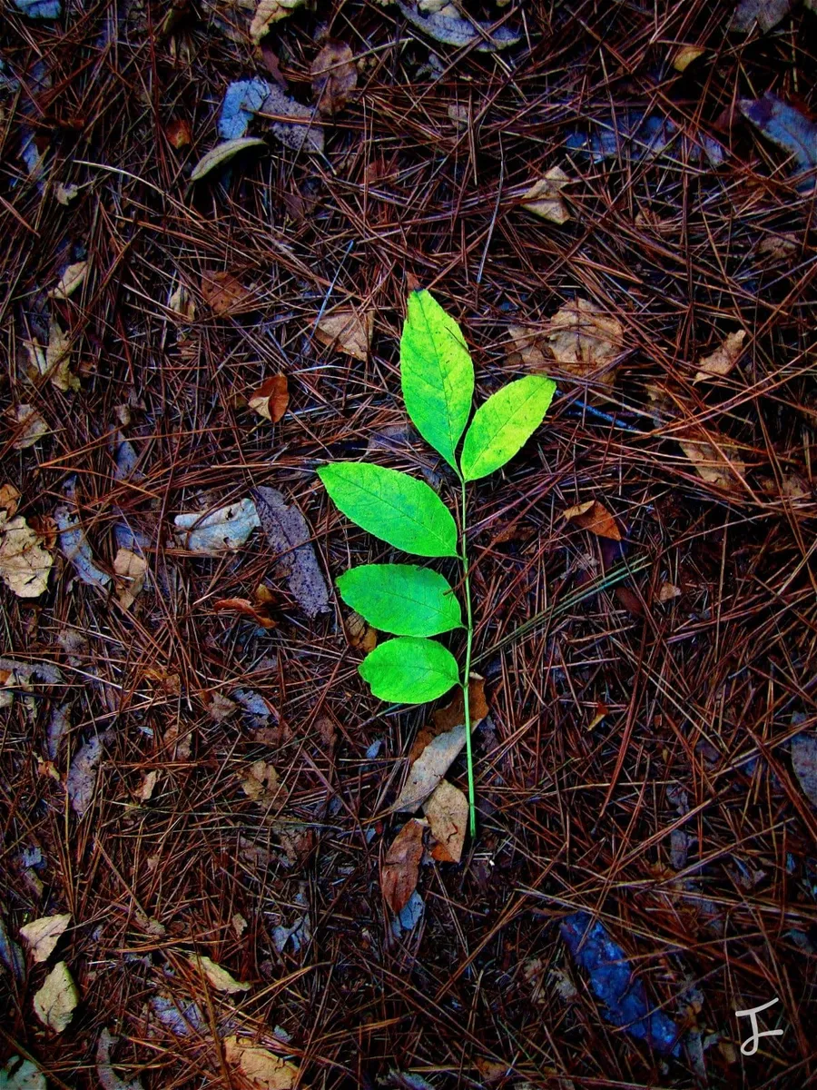 Photography portfolio image