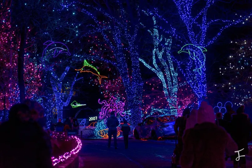 Photography portfolio image