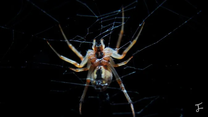 Photography portfolio image