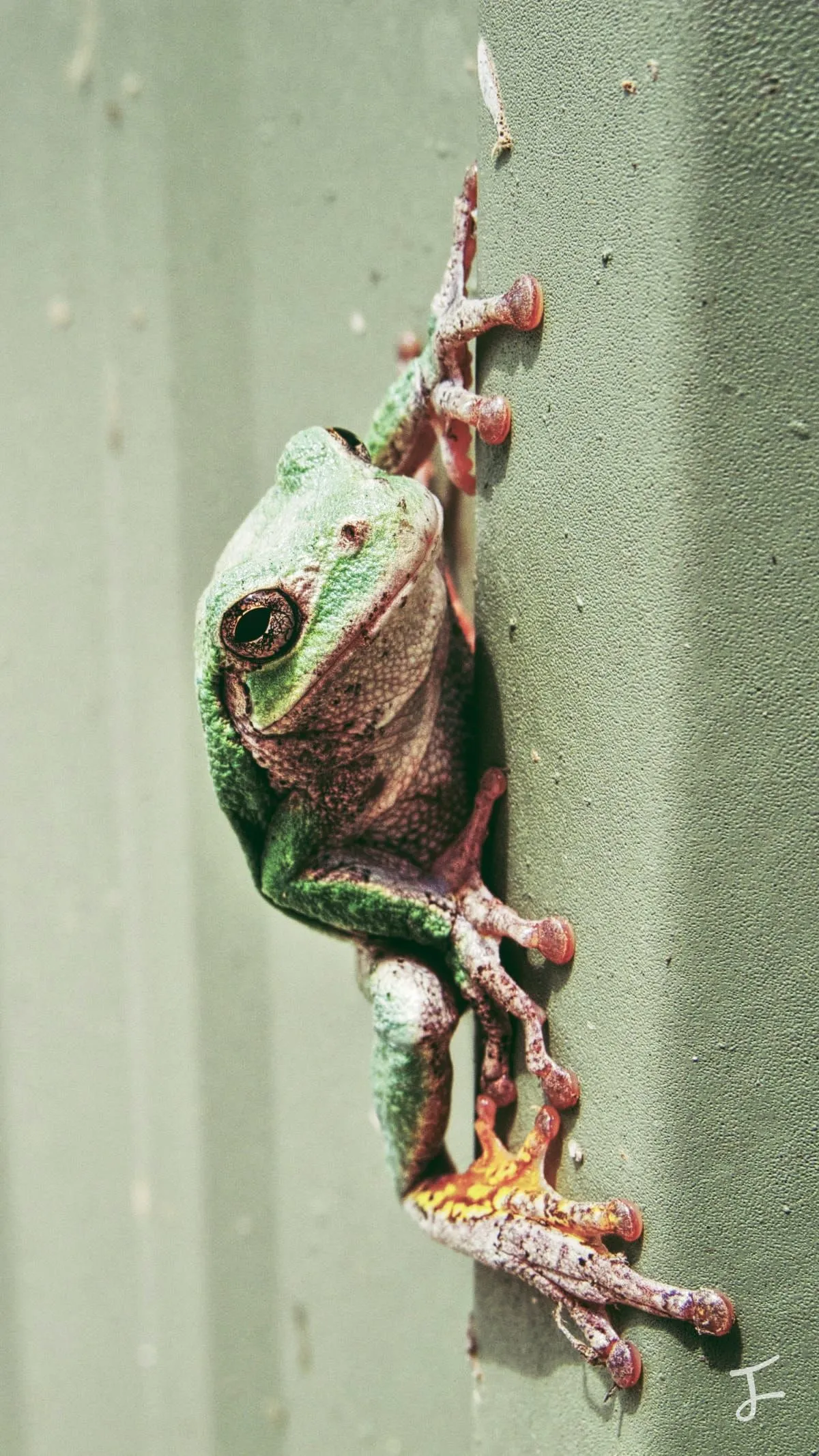 Photography portfolio image