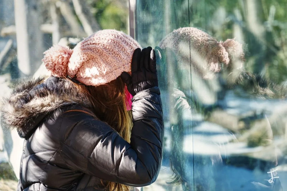 Photography portfolio image