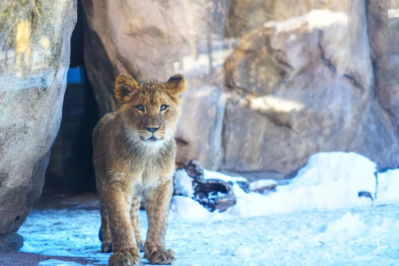 Photography portfolio image