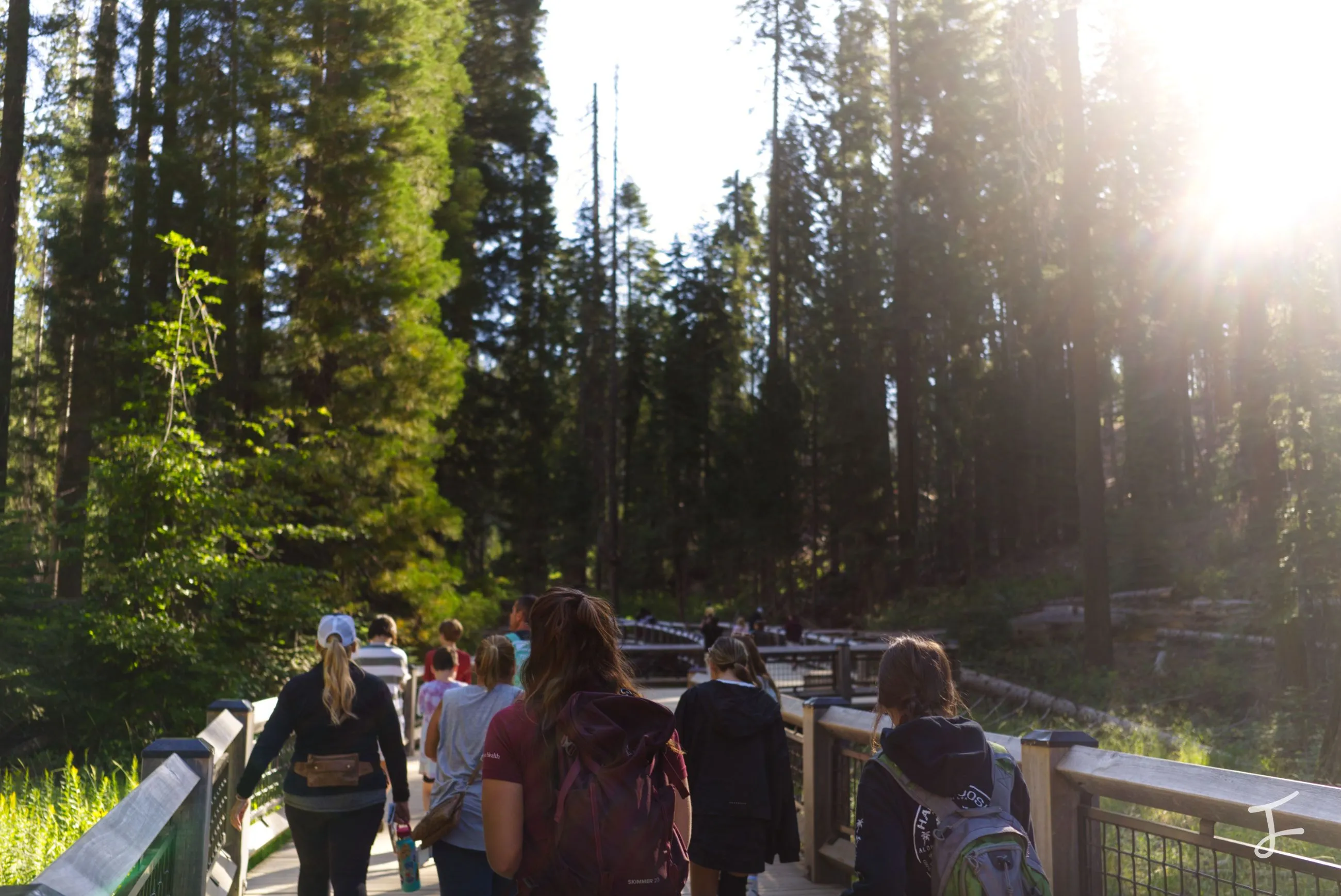 Photography portfolio image