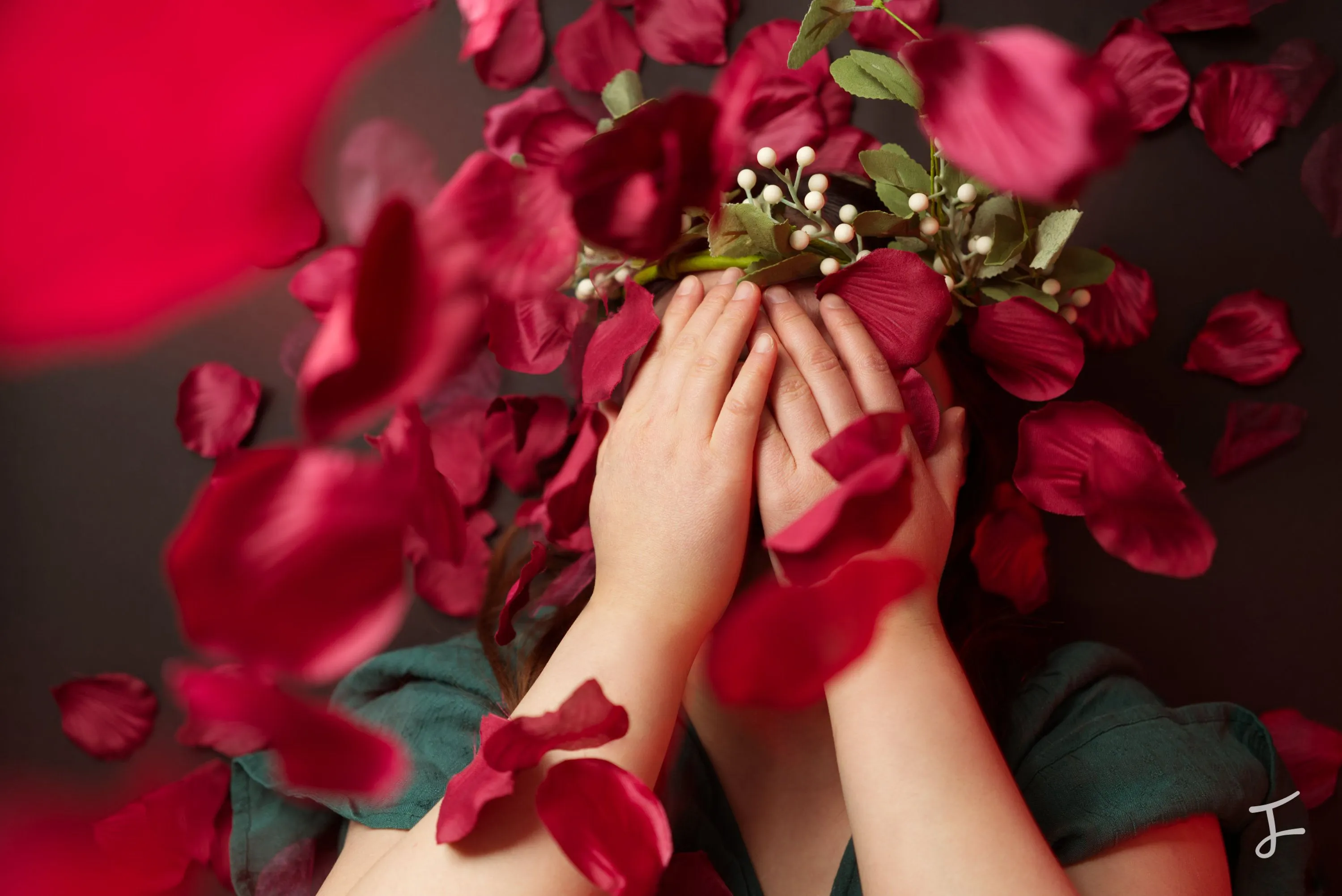 Photography portfolio image