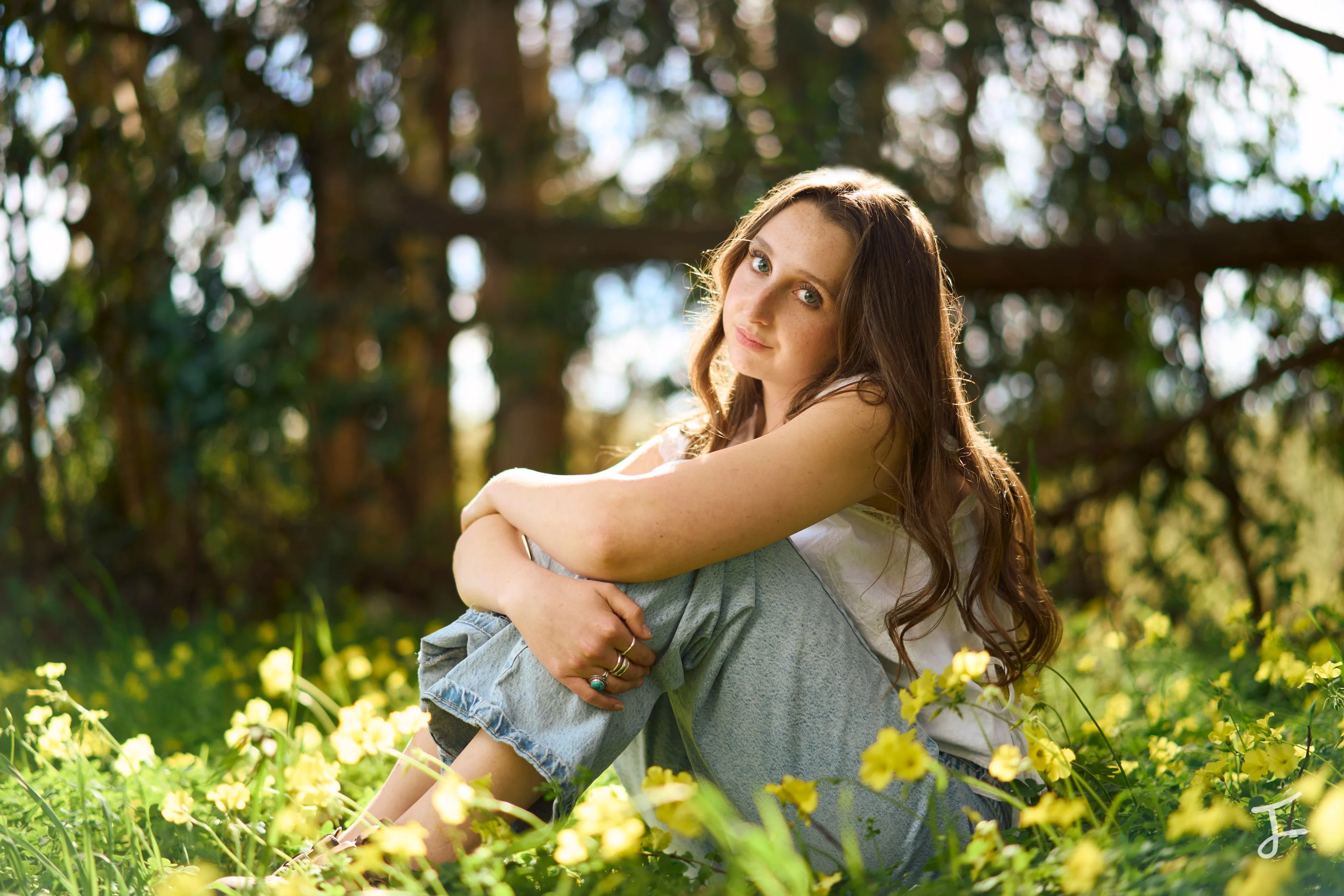 Photography portfolio image